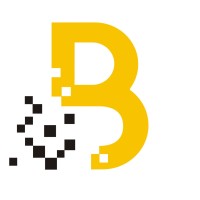 BITTINT IT Solutions LLP logo - Similar company to Hire Intern