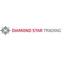 DIAMOND STAR TRADING logo - Similar company to Emc2Mc