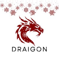 Draigon Ltd logo - Similar company to Sterling Security