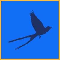 Scissortail Digital Marketing, Ltd. logo - Similar company to Education Evolved Ltd.