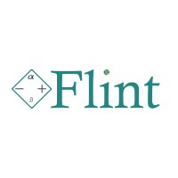 Flint Analytics Australia logo - Similar company to Data Vintage