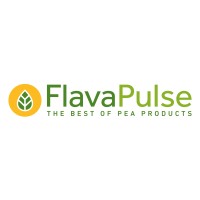 FlavaPulse logo - Similar company to 3Ey Yapım
