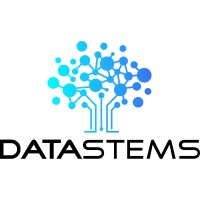 Data Stems logo - Similar company to Cubecare
