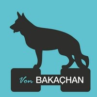 Von Bakaçhan Köpek Eğitim Okulu logo - Similar company to Kopek