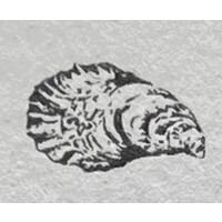Oyster Point Real Estate Group, LLC logo - Similar company to Gear For Good, Inc