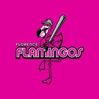 Florence Flamingos logo - Similar company to Minnesota Multimedia
