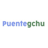 Puente a Gualeguaychu logo - Similar company to Lowsedo Srl