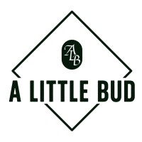 A Little Bud logo - Similar company to Burb