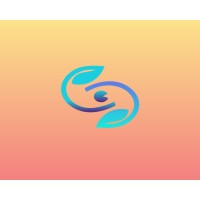 Vision Networking logo - Similar company to Vision Collaborating
