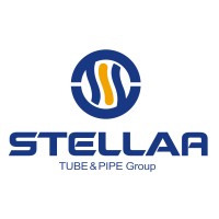 ZHEJIANG STELLAR GLOBAL CO.,LTD. logo - Similar company to Zhejiang Insi Import&Export Co.,Ltd