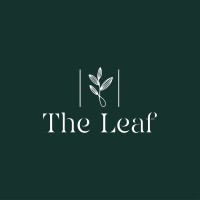 The Leaf Condos Playacar