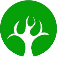 Cedrus Group Africa logo - Similar company to Smart City Clearing Company Ltd.