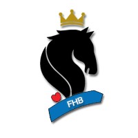 Friesian Horse Breeder logo - Similar company to Friesian