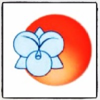 Amazonia Orchids, LLC logo - Similar company to Westerlay Orchids