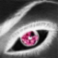 Cassandra Security logo - Similar company to Amelia