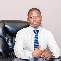 Shepherd Bushiri Investment (SB) logo - Similar company to The Billion Group