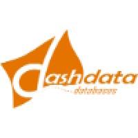 Dashdata Databases logo - Similar company to Adept Precision