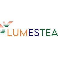 Lumestea Innovex Pvt. Ltd. logo - Similar company to Sharvas Solutions