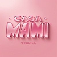 Casa Mami Tequila logo - Similar company to Empty Vase