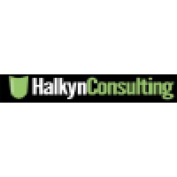 Halkyn Consulting Ltd logo - Similar company to Covert Bit