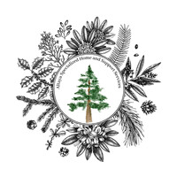 Altaya Specialized Home & Support Services logo - Similar company to Nuscapelandscapingcom