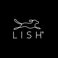 LISH London logo - Similar company to Genius Stuff