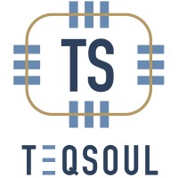 TEQSOUL DIGITAL SOLUTIONS logo - Similar company to Josephnassar.Com