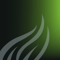 Convallaria S.r.l. logo - Similar company to Collitude