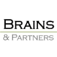 Brains & Partners logo - Similar company to World.Associates
