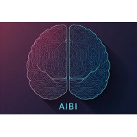 AIBI Solutions LLC logo - Similar company to Abstract Penguin Design And Development
