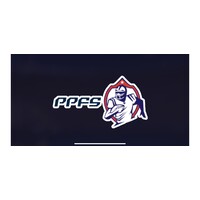 Perpetual Play Fantasy Sports Metaverse logo - Similar company to House Of Perpetual Evolution