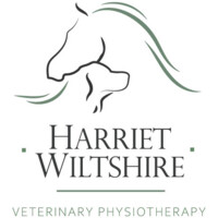 Harriet Wiltshire - Veterinary Physiotherapy logo - Similar company to Vet Physio Phyle