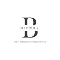 BitBridge Data Engineering logo - Similar company to Bitbridge