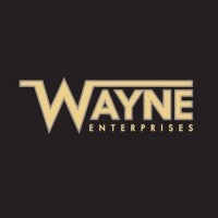 Wayne Enterprises A/S logo - Similar company to Wsd Digital