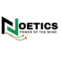 Noetics logo - Similar company to Amplified Solutions Llc