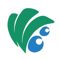 Whewoo logo - Similar company to Andromedai