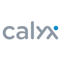 Calyx | Software development company logo - Similar company to Beyond Seen Screen