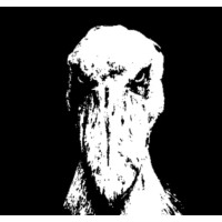 Aviary Productions logo - Similar company to Project After Hours