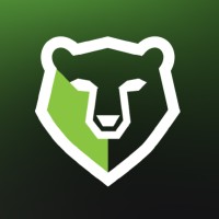 Braveson logo - Similar company to Cipherpunks - Digital Security Agency