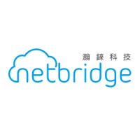 瀚錸科技 Netbridge Technology Inc. logo - Similar company to Teamco Industries Corp. -Taiwan