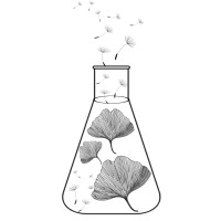 Ylia.Lab Laboratoire d'Alchimie Botanique logo - Similar company to Les Ateliers De Justine