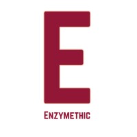 Enzymethic logo - Similar company to E4E6 Consulting