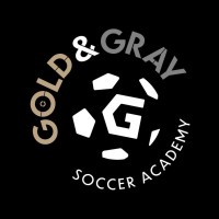Gold & Gray Soccer Academy logo - Similar company to Football Clubs