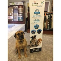 Watkins Floor Covering, Inc.