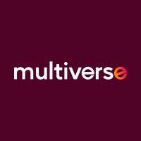 Multiverse NV logo - Similar company to Digitoll Smart Infrastructure