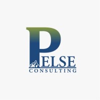 Pelse Consulting logo - Similar company to One Growth