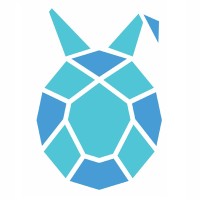 RabTur Technologies logo - Similar company to Squadmind