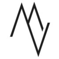 METAVIEW Coaching and Consulting logo - Similar company to Lockstep