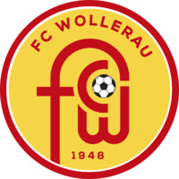 FC Wollerau logo - Similar company to Start Up Evolution