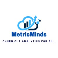 MetricMinds.in logo - Similar company to Metricminds